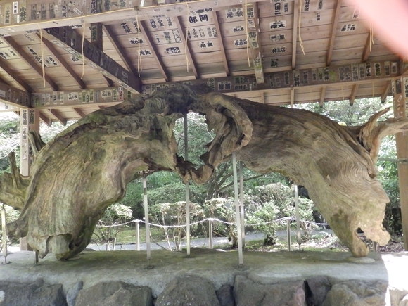 箱根神社_f0307097_21253889.jpg