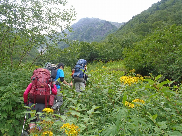 南アルプス 北岳へ~ 山よりグルメの珍道中!(前半)_c0147398_1534544.jpg