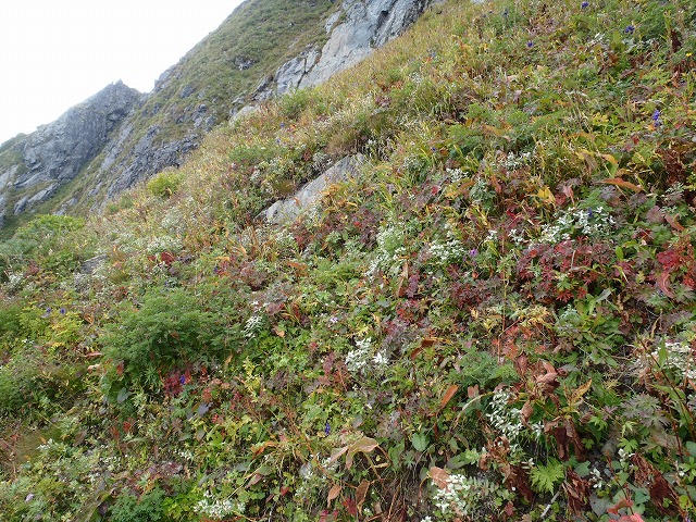 南アルプス 北岳へ~ 山よりグルメの珍道中!(前半)_c0147398_154355100.jpg