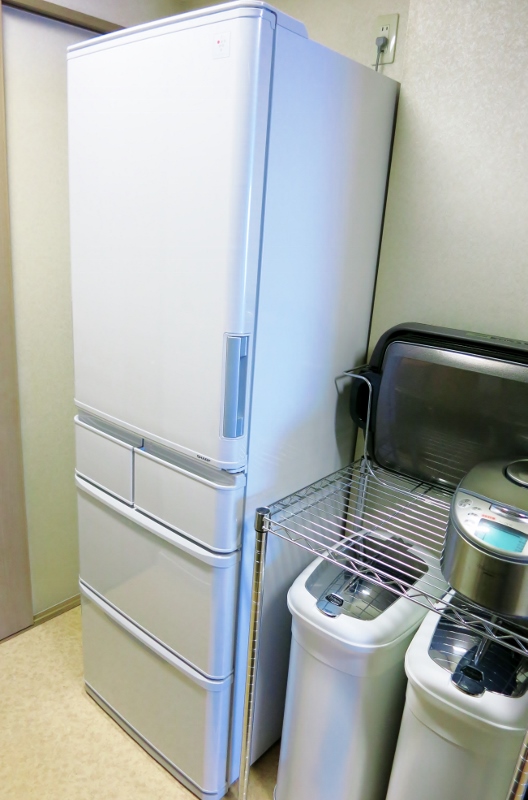 プラズマクラスターイオン冷蔵庫_b0083801_03252695.jpg
