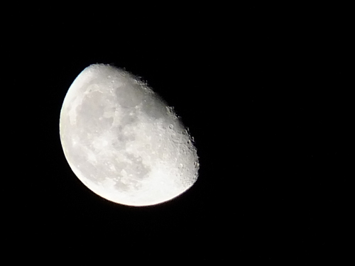 a0271502_13592519.jpg
