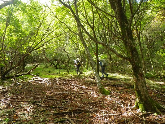 f0187402_20532882.jpg