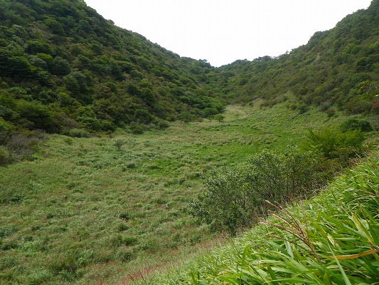 f0187402_20544510.jpg