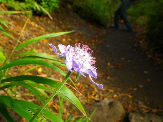 f0187402_215322.jpg