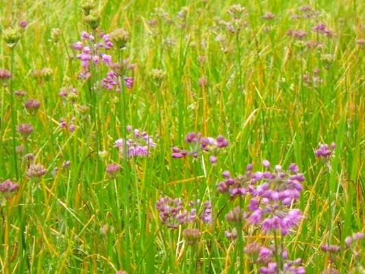 f0187402_2154568.jpg
