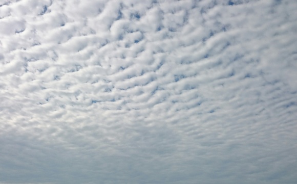 e0304003_20145342.jpg