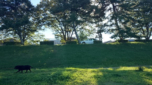 e0304003_20373185.jpg