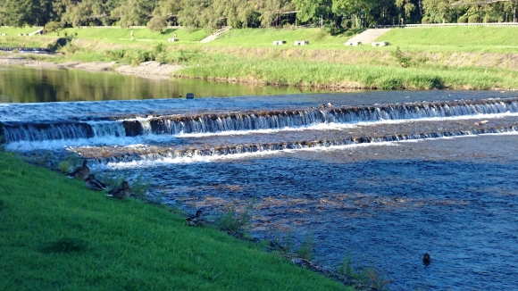 e0304003_21012556.jpg