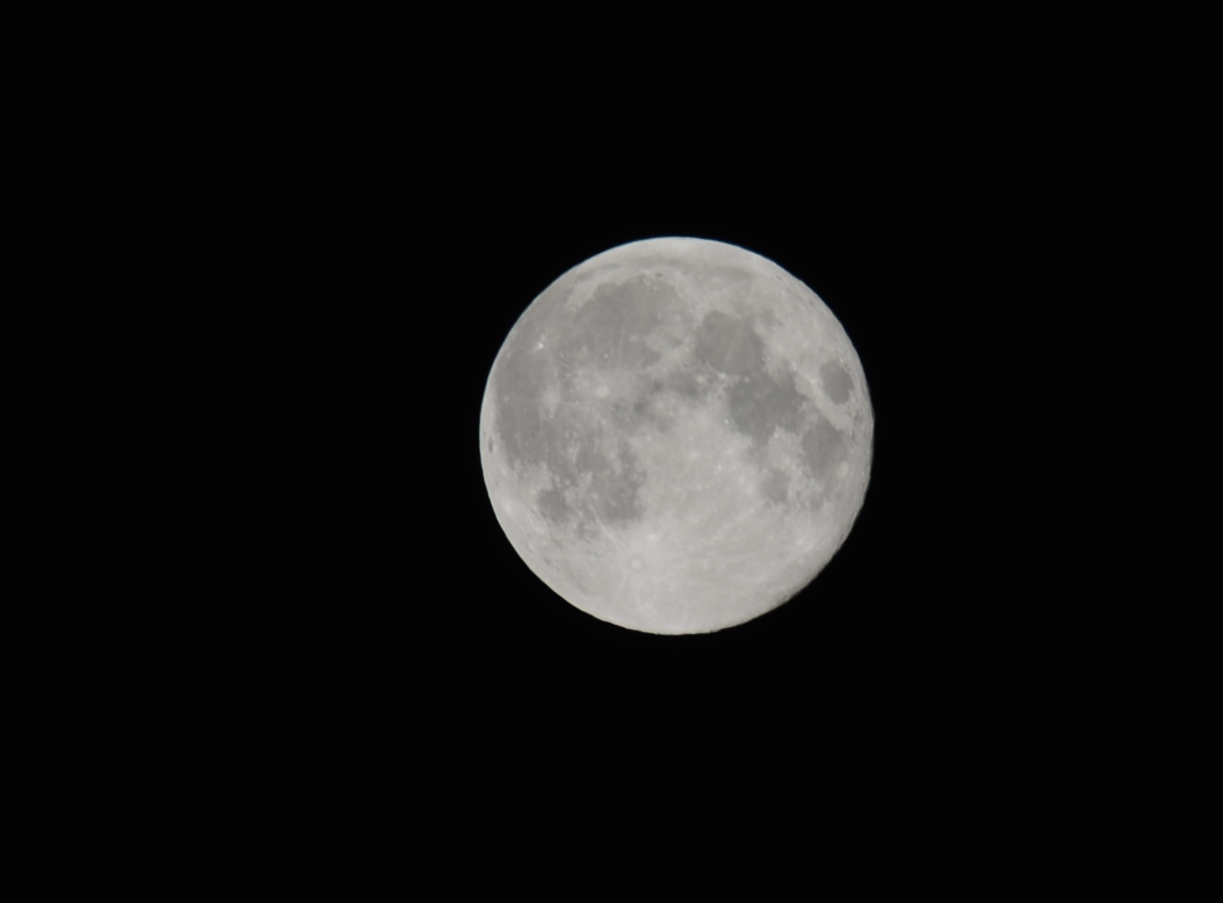 f0349904_08113814.jpg