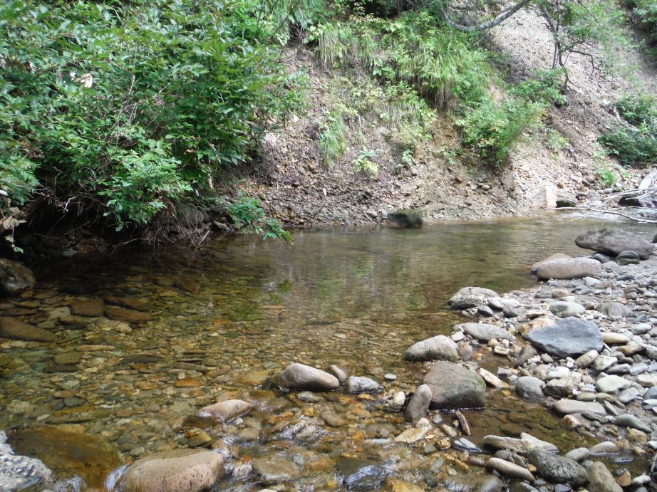 b0172805_253914.jpg