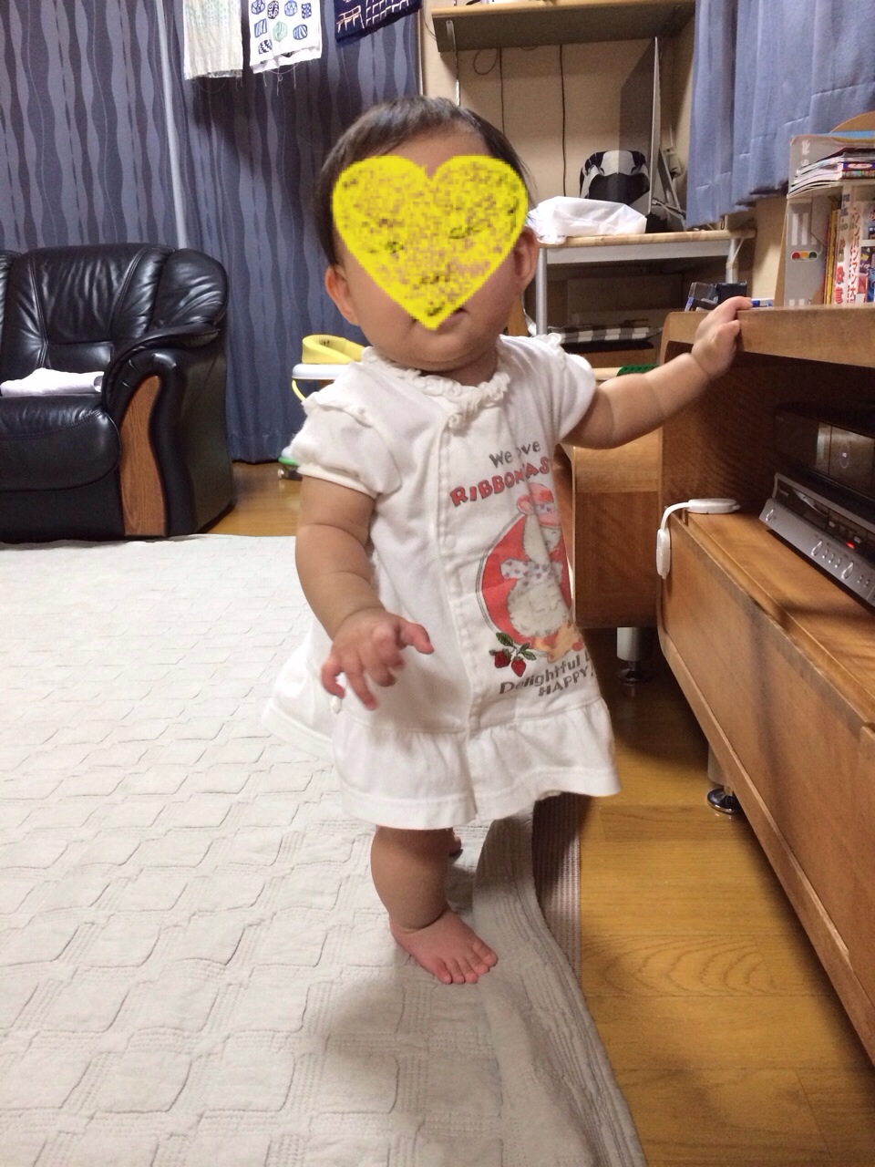 娘ちゃんのイタズラ対策 DVDデッキのガード_b0340106_15550352.jpg