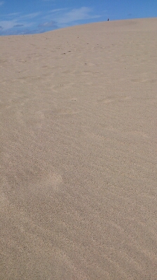 b0243809_20463896.jpg