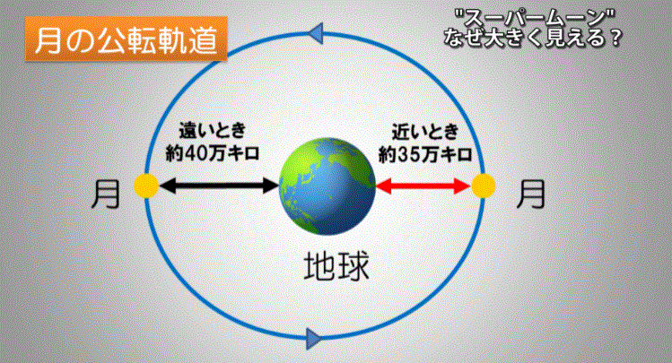 f0231709_16433660.gif