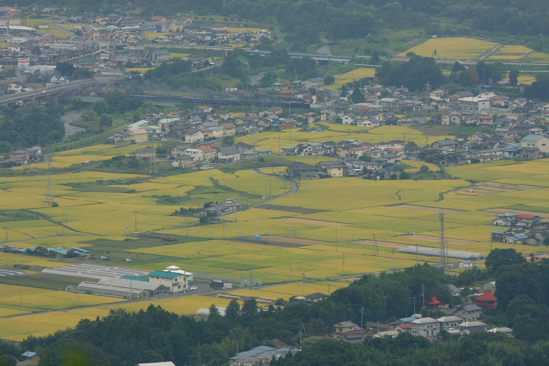黄金の季節 - 2014年初秋・上越線 - _b0190710_1855697.jpg
