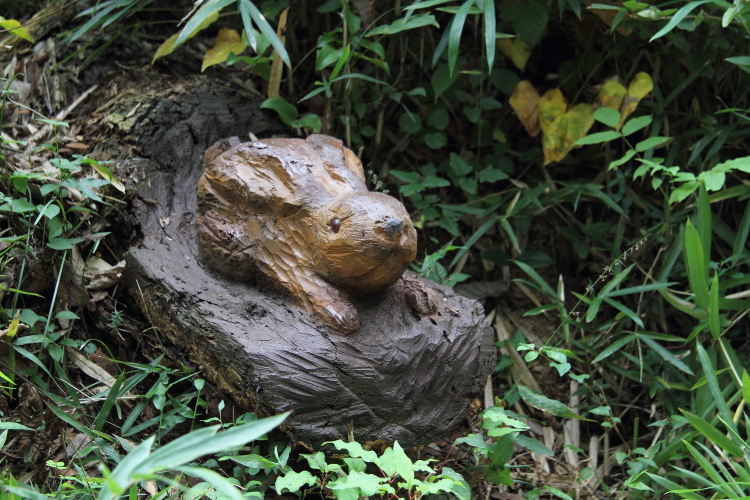 黄金の季節 - 2014年初秋・上越線 - _b0190710_1859125.jpg