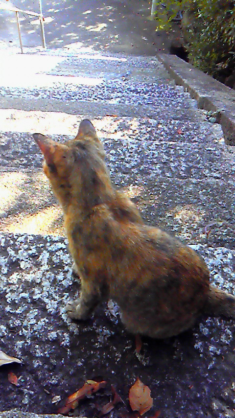 f0276510_21015606.jpg