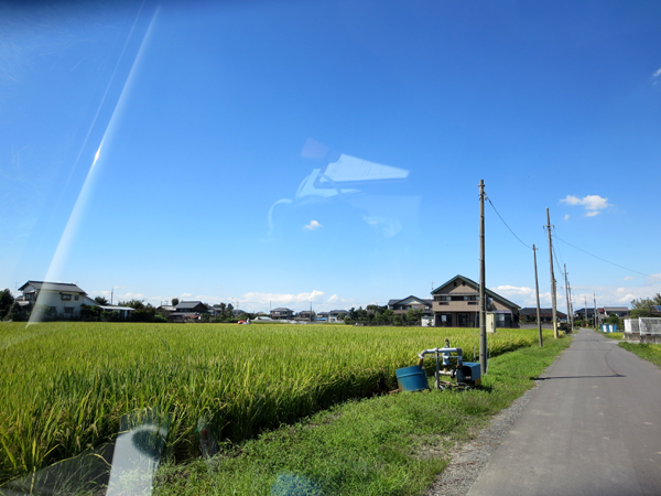 f0310010_19525057.jpg