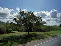c0009413_17555825.jpg