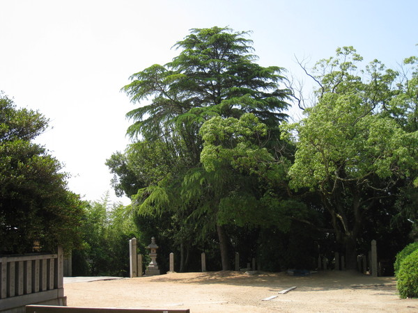 林神社（兵庫県明石市）_d0287413_1101720.jpg