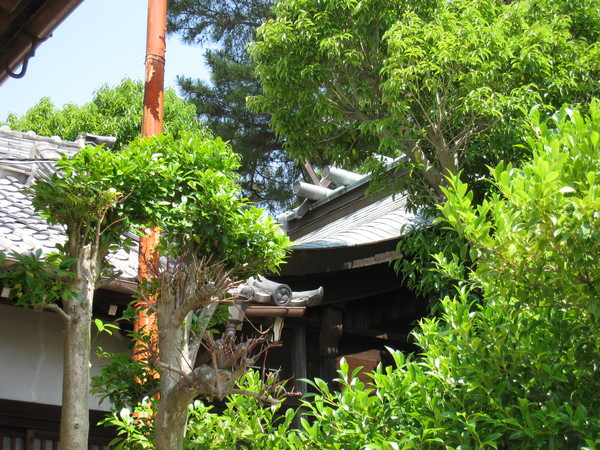 林神社（兵庫県明石市）_d0287413_1121586.jpg