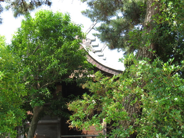 林神社（兵庫県明石市）_d0287413_1123489.jpg