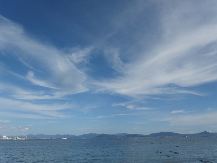 宮島周辺で釣り♪_c0116915_0112576.jpg