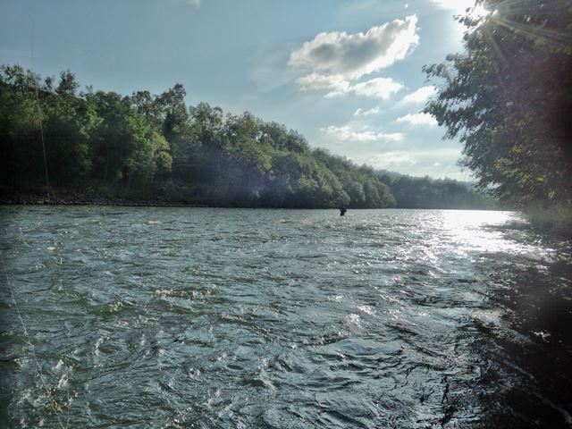 d0202215_847627.jpg