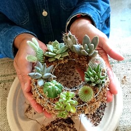 サボテン・多肉植物ワークショップのご報告_d0263815_1538382.jpg
