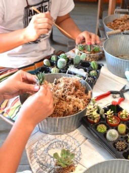 サボテン・多肉植物ワークショップのご報告_d0263815_15495341.jpg