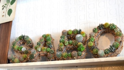 サボテン・多肉植物ワークショップのご報告_d0263815_1644973.jpg