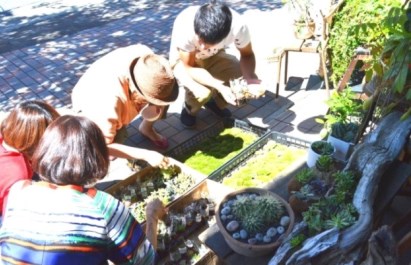サボテン・多肉植物ワークショップのご報告_d0263815_16483027.jpg