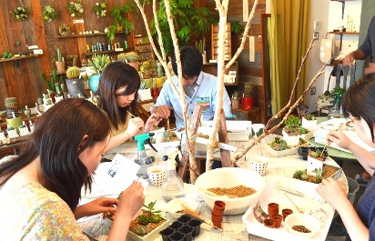 サボテン・多肉植物ワークショップのご報告_d0263815_1794868.jpg