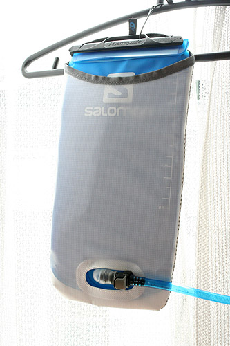 SALOMON SKIN PRO 10+3 インプレッション_e0153022_20584035.jpg