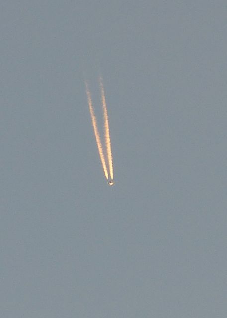 a0188023_65731.jpg