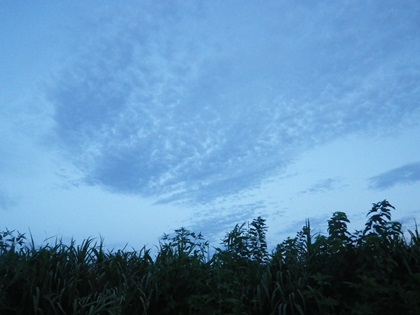 続・少年の王国_b0312424_2054401.jpg