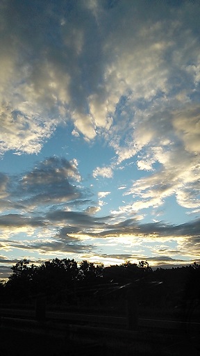 c0283725_20141797.jpg
