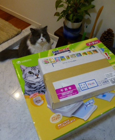 宅急便が届くと。。。。_e0237625_22305383.jpg