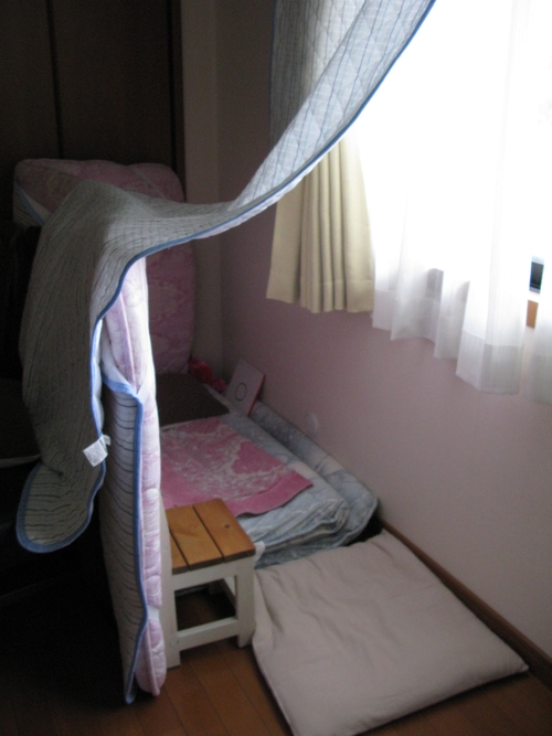 秋の収穫_f0129726_22471392.jpg