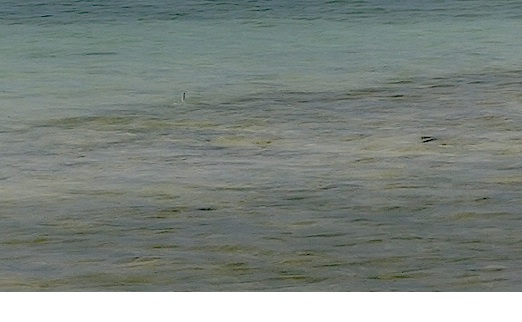 a0050227_13345989.jpg