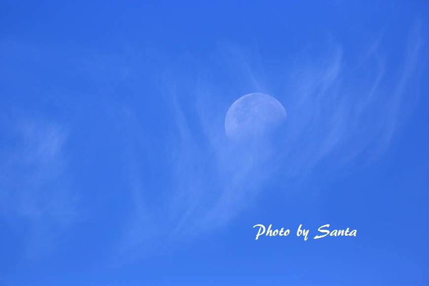 c0201929_7262664.jpg