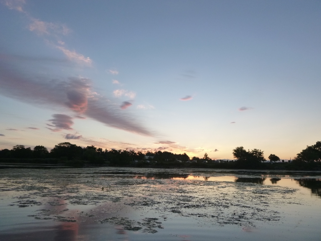 c0113733_23123340.jpg