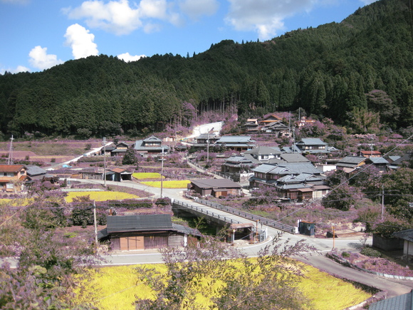 c0209334_2249929.jpg