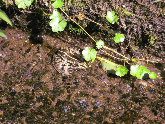 c0209334_22542590.jpg