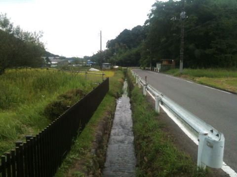 鶴見川源流の泉(町田市)(9月15日)_e0213636_17231572.jpg