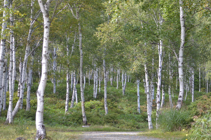d0254540_19385613.jpg