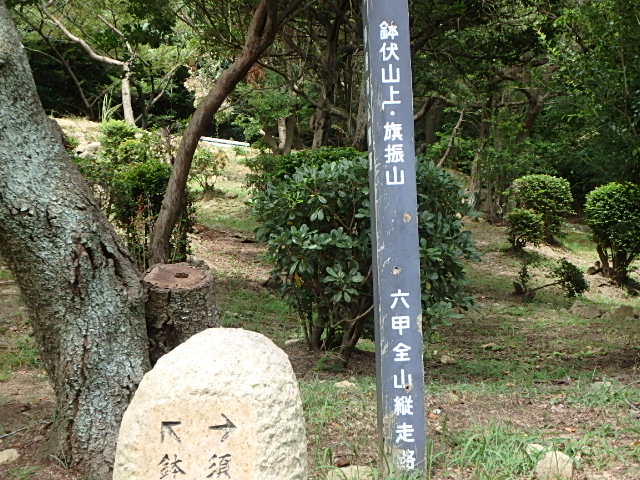 f0334143_20295935.jpg