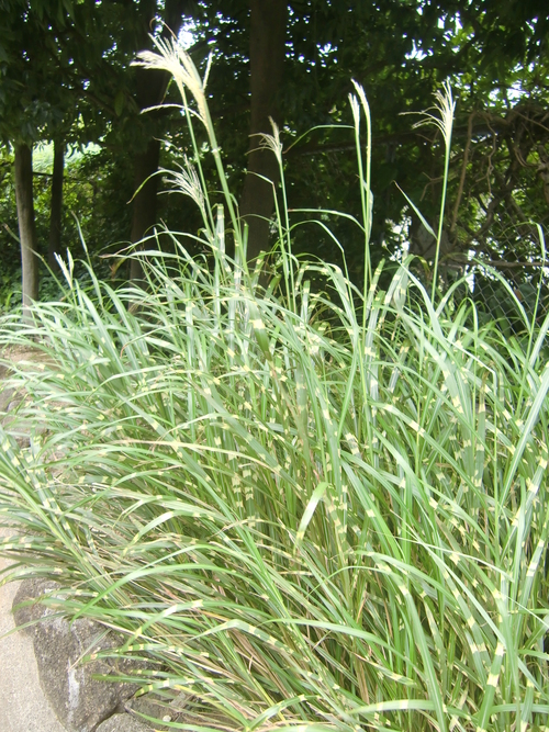 f0329849_15475110.jpg