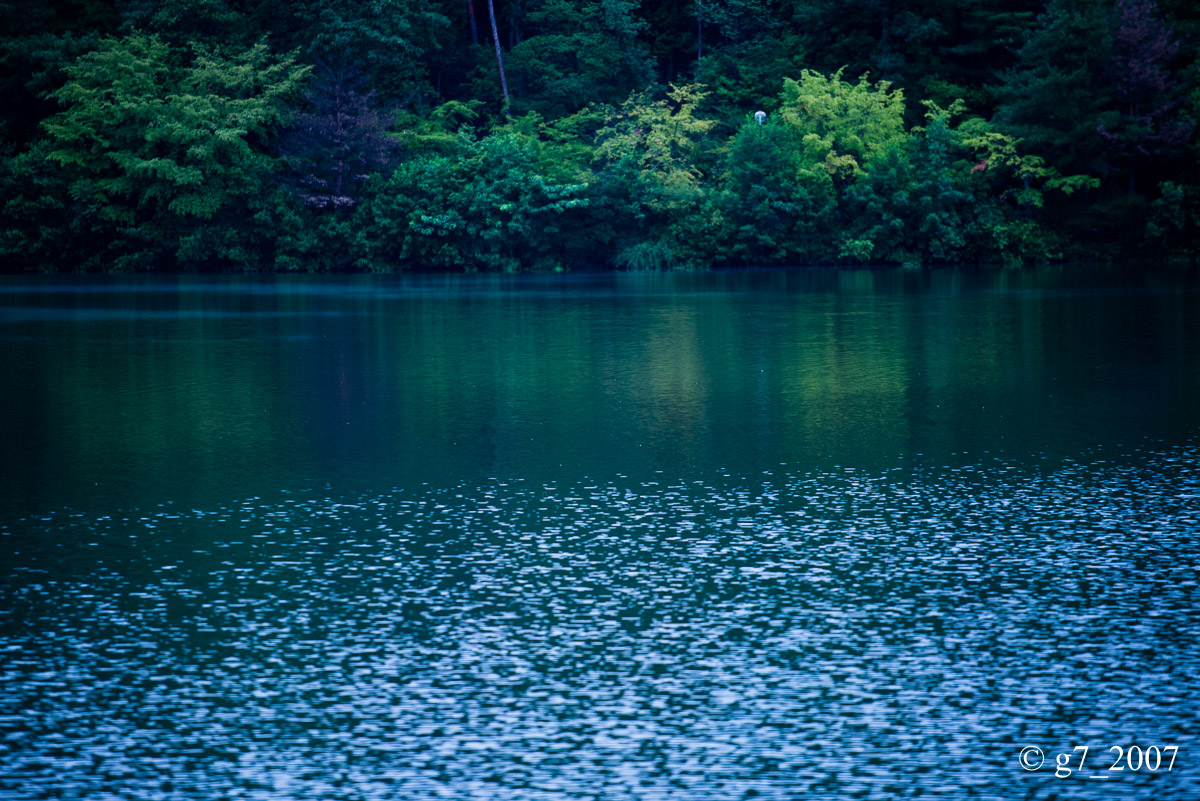 f0152550_13434952.jpg