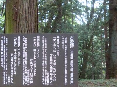 b0220251_58186.jpg