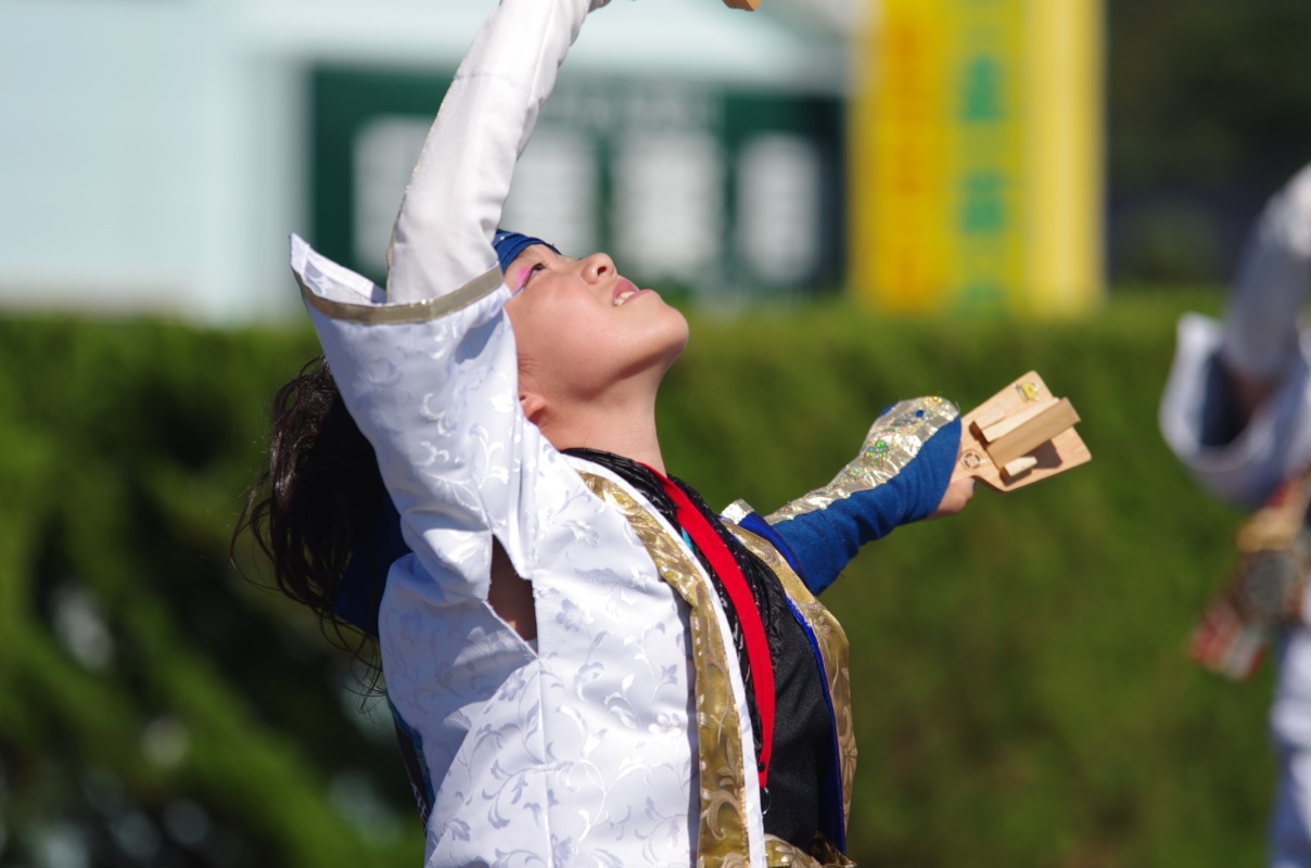 斐川だんだんよさこい２０１４その９（華舞〜鬼蜂〜）_a0009554_22144594.jpg